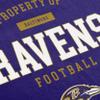 FOCO Baltimore Ravens NFL Property of Beach Towel view 2