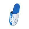 FOCO Kentucky Wildcats NCAA Mens Team Logo Staycation Slippers - S view 3