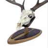 Deer Hoove European Mount Deer Wall or Table Skull Plaque/Display - NO Drilling Required (Large) view 2