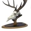 Deer Hoove European Mount Deer Wall or Table Skull Plaque/Display - NO Drilling Required (Large) view 3