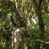 Ginsco Ghillie Suit Full Face Mask Gloves Set XL/XXL, 3D Leafy Camo Suit, Ghillie Suit for Men, Camoflage Woodland Pants Jacket Hood for Outdoor Turkey Hunting Sniper Photography with Storage Bag view 4