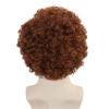 JoneTing Brown Afro Wig+1 Hair Cap+1 Glasses Brown Curly Hair for Men Party 70s 80s Wigs Men Nerd Wig for Halloween Party Peluca Marrn Chrismas Cospaly Hairs for Custume view 4