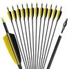 OBTOUTDOOR 28-31inch Pure Carbon Arrows Targeting Arrows 12Pack Spine 500 Archery Hunting Arrows Feather Bows with Replaceable Arrows for Recurve Bow Compound Longbow (30Inch) view 1