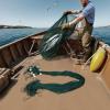 Gdrasuya10 Professional Minnow Fishing Net 10ft x 65ft with Floats & Lead Line, 0.59in Mesh Cast Net for Minnows Shiners, Heavy Duty Polyethylene Seine Net for Beach River Fishing view 2
