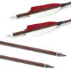 28"/30" Pure Carbon Wood Archery Spine 400/500/600 with 4" True Feather and Detachable Tip for Recurve and Compound Bows and Traditional Bow Hunting Target Practice (6 Pack) (30 inches,Spine 500) view 3