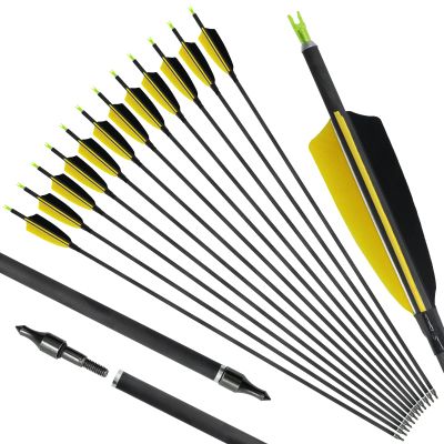 OBTOUTDOOR 12Pack Spine 400 Pure Carbon Arrows Practice Hunting Arrows 28 29 30 31inch Archery Arrows with 4" Turkey Feathers and Removable Tips for Adult Shooting Target (31 Inch Pack of 12)