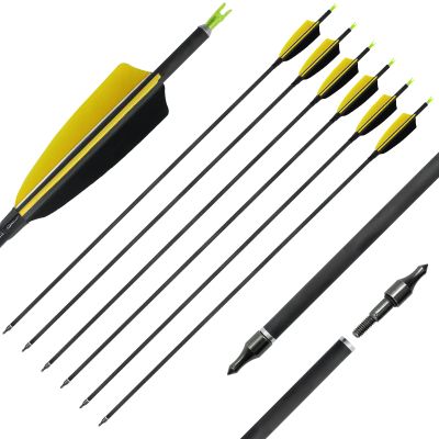 OBTOUTDOOR 12Pack Spine 400 Pure Carbon Arrows Practice Hunting Arrows 28 29 30 31inch Archery Arrows with 4" Turkey Feathers and Removable Tips for Adult Shooting Target (29 Inch Pack of 6)