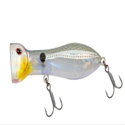Nomad Design Chug Norris 72 Topwater Popper Lure 3" - 3/8oz Floating Autotune Plug for Freshwater & Saltwater, Holo Ghost Shad