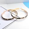 60mm Exaggerate Leopard Leather Round Hoop Earrings Dangle Cheetah Print Circle for Women Statement Personality Animal Jewelry-60CM view 4