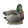 Cupped Waterfowl Duck Decoys, Extremely Realistic 6-Pack of Duck Floater Decoys with Weighted Keels, Great for Waterfowl Hunting, Mallard Duck Decoy, Brown/Multi (CU2681) view 2