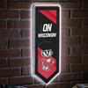 Team Sports America Evergreen NCAA University of Wisconsin-Madison | Ultra-Thin LED Light Wall Sign Decor | Large Pennant Banner | 9 x 23 Inches | Made in the USA view 1