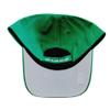 47 Dallas Stars NHL Most Value P. Green Adjustable Cap view 3