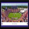 East Carolina Pirates Football - 42x15.5-inch Single Mat, Select Framed Picture by Blakeway Panoramas view 1