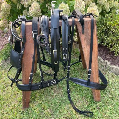 Leaders Draft Combo Leather Harness, Carriage Driving, Black