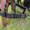 Leaders Draft Combo Leather Harness, Carriage Driving, Black view 3