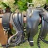 Leaders Draft Combo Leather Harness, Carriage Driving, Black view 4