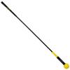 Albatross Golf BalanceFrom Golf Swing Training Aid Golf Swing Trainer Golf Practice Warm-Up Stick for Strength Flexibility and Tempo Training view 1