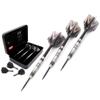 CUESOUL Glory Luxury Dart Case Packing-Tungsten Steel Tip Dart Darts 24g view 1