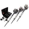 CUESOUL Glory 22g Luxury Dart Case Packing-Tungsten Steel Tip Dart Set view 1