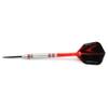 CUESOUL Glory 22g Luxury Dart Case Packing-Tungsten Steel Tip Dart Set view 3