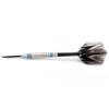 CUESOUL Glory Luxury Dart Case Packing-Tungsten Steel Tip Darts 24g view 3