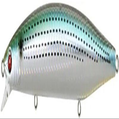 Bassday Logs 124S LH-244 Natural Konoshiro