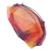 BESPORTBLE Fishing Net Portable Net for and Freshwater Wear-Resistant Design for Camping and Sea Fishing view 1