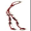 Charro Saddle Horse Reins, Riendas Charras para Caballo, Horse Tack view 1