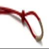 Charro Saddle Horse Reins, Riendas Charras para Caballo, Horse Tack view 2