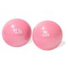 Trademark Innovations Weighted Exercise Toning Ball - Set of 2 (2.5lbs) view 1
