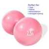 Trademark Innovations Weighted Exercise Toning Ball - Set of 2 (2.5lbs) view 2