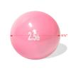 Trademark Innovations Weighted Exercise Toning Ball - Set of 2 (2.5lbs) view 3