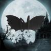 VEAREAR Kids Bat Wing One Size Halloween Fancy Dress Party Kids Bat Wing Costume Accessories Unisex Black view 3
