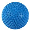 YUYTE Round Massage Ball Massage Ball Yoga Ball Fitness Ball Massage Tool Hemisphere Fitness Fitness Appliance Exercise Gym Yoga Pilates Ball[Blue] view 2