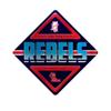 NCAA Mississippi Rebels - Ole Miss Metal Sign 16.5" x 16.5" Home Dcor - Bedroom - Office - Man Cave view 1