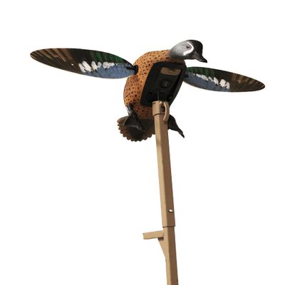 MOJO Outdoors Elite Series Blue Wing Teal - Premium Waterfowl and Duck Hunting Decoy