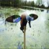 MOJO Outdoors Elite Series Blue Wing Teal - Premium Waterfowl and Duck Hunting Decoy view 2
