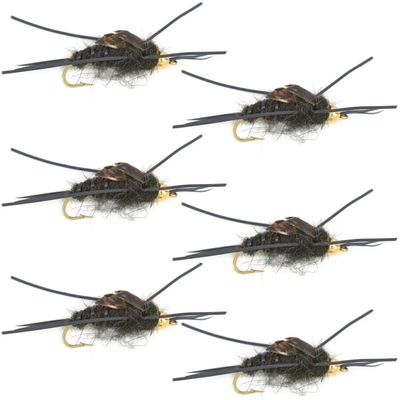 The Fly Fishing Place Tungsten Bead Head Nymph Fly Fishing Flies - Kaufmann's Black Stone Fly with Rubber Legs - Stonefly Wet Fly - 6 Flies Hook Size 8