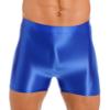 easyforever Mens Shiny Glossy Oily Tight Panties Shorts Trunks Nylon Sheer High Elastic Underwear Blue X-Large view 1