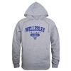Wellesley College Blue Alumni Hoodie Sweatshirts - Heather Grey, Small view 1