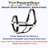 Tack Shack of Ocala Leather Halter with Customized Engraved Name Plate Option Halter for Horse | Brown/Brass, Black/Brass, Black/Chrome Options (Spring Yearling/Medium Pony) view 3
