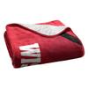 Northwest NCAA Silk Touch Sherpa Throw Blanket 60X80, Wisconsin Badgers view 2
