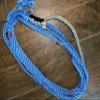 Bull Rope Blue Poly Jr Bull 9x7 LH 7/8" x 1" Soft - EPT Bull Ropes Riding Rope 14' view 4