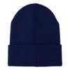 Harry Potter Ravenclaw Eagle Navy Embroidered Logo Cuffed Knitted Beanie view 3