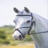 Shires Equestrian Velociti Rapida Figure 8 Bridle (Xfull, Havana) view 1
