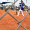 Tanner Jr. Batting Tee for Kids and Toddlers. Durable Youth T Ball Tee T Ball Stand with Easy Height Adjustments and Flexible Rubber Cone. Built to Last. Learn Like Pro on This Tee Ball Tee view 2