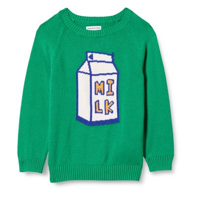 Amazon Essentials Boys' Pullover Crewneck Sweater, Green Milk Carton, Small