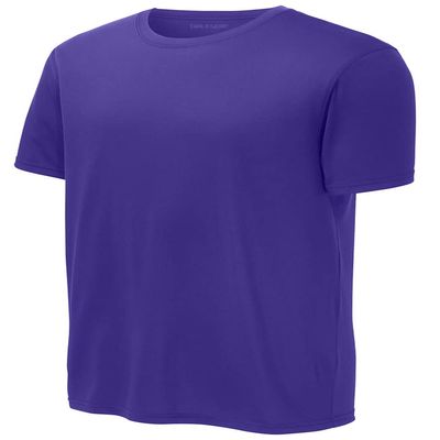 DRIEQUIP Men's Moisture Wicking Suede Feel Performance Tees-3XL-Purple