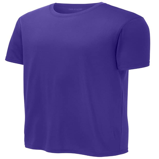 DRIEQUIP Men's Moisture Wicking Suede Feel Performance Tees-3XL-Purple