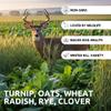 Whitetail Deer Food Plot Seed | Buffalo Blend  Turnip, Radish, Clover, Wheat, Rye & Oats Mix | High-Protein Deer Forage | Fall & Winter Food Plot Seed for Hunting & Wildlife Growth (8 Pounds) view 3